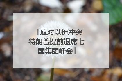 应对以伊冲突 特朗普提前退席七国集团峰会