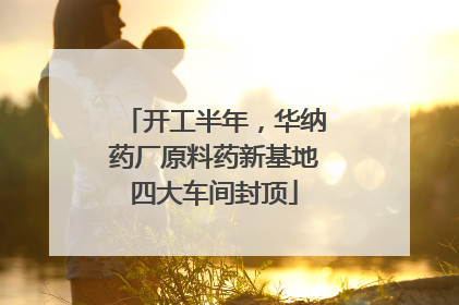 开工半年，华纳药厂原料药新基地四大车间封顶