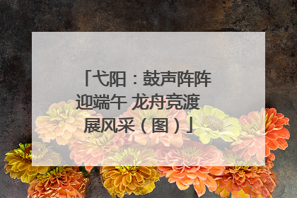 弋阳：鼓声阵阵迎端午 龙舟竞渡展风采（图）
