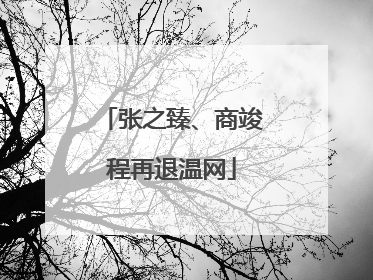 张之臻、商竣程再退温网