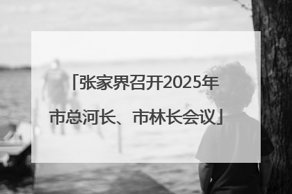 张家界召开2025年市总河长、市林长会议
