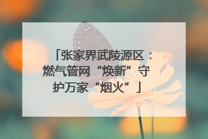 张家界武陵源区：燃气管网“焕新”守护万家“烟火”