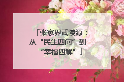 张家界武陵源：从“民生四问”到“幸福四解”