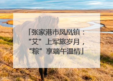张家港市凤凰镇：“艾”上军旅岁月，“粽”享端午温情