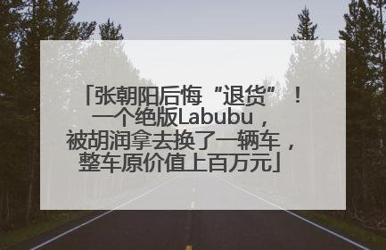 张朝阳后悔“退货”！一个绝版Labubu，被胡润拿去换了一辆车，整车原价值上百万元