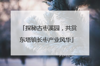 探秘古枣溪园，共赏东塔镇长枣产业风华