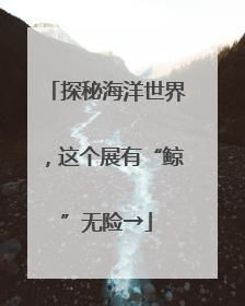 探秘海洋世界，这个展有“鲸”无险→