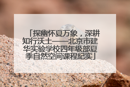探幽怀夏万象，深耕知行沃土——北京市建华实验学校四年级部夏季自然空间课程纪实