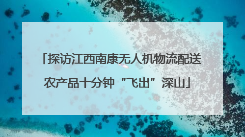 探访江西南康无人机物流配送 农产品十分钟“飞出”深山