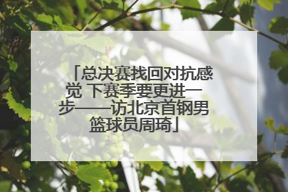 总决赛找回对抗感觉 下赛季要更进一步——访北京首钢男篮球员周琦
