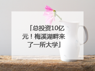 总投资10亿元！梅溪湖畔来了一所大学