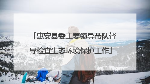 惠安县委主要领导带队督导检查生态环境保护工作