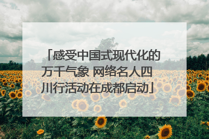 感受中国式现代化的万千气象 网络名人四川行活动在成都启动