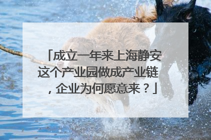 成立一年来上海静安这个产业园做成产业链，企业为何愿意来？
