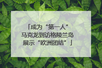 成为“第一人” 马克龙到访格陵兰岛展示“欧洲团结”