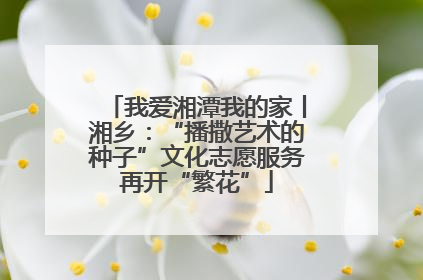 我爱湘潭我的家丨湘乡：“播撒艺术的种子”文化志愿服务再开“繁花”