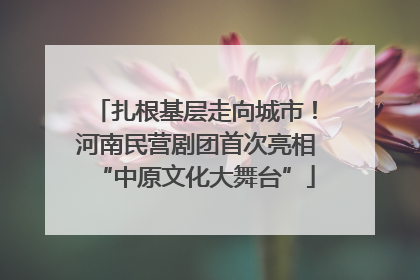扎根基层走向城市！河南民营剧团首次亮相“中原文化大舞台”