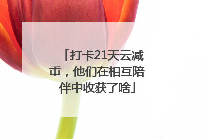 打卡21天云减重，他们在相互陪伴中收获了啥