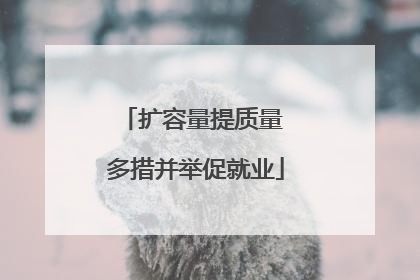 扩容量提质量 多措并举促就业