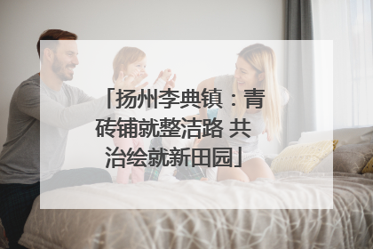 扬州李典镇：青砖铺就整洁路 共治绘就新田园