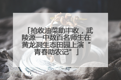 抢收油菜助丰收，武陵源一中数百名师生在黄龙洞生态田园上演“青春助农记”