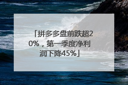 拼多多盘前跌超20%，第一季度净利润下降45%