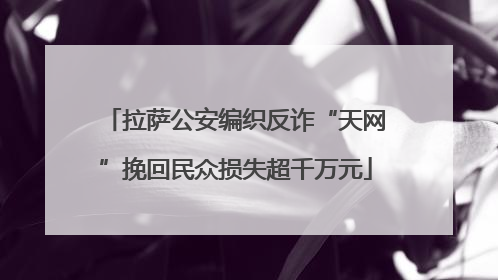 拉萨公安编织反诈“天网”挽回民众损失超千万元