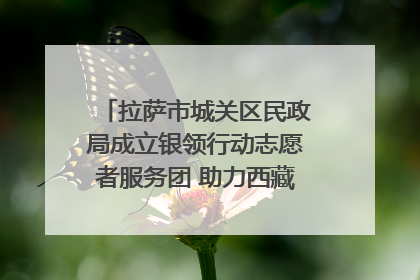 拉萨市城关区民政局成立银领行动志愿者服务团 助力西藏银发经济发展