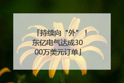 持续向“外”！东亿电气达成3000万美元订单
