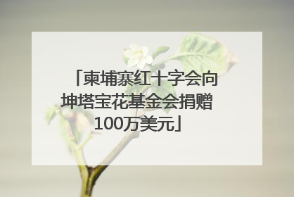 柬埔寨红十字会向坤塔宝花基金会捐赠100万美元