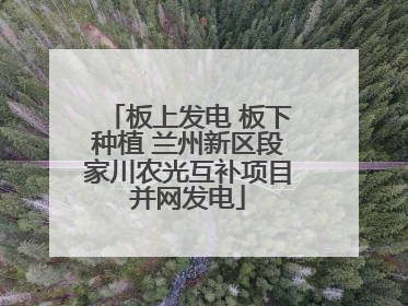 板上发电 板下种植 兰州新区段家川农光互补项目并网发电