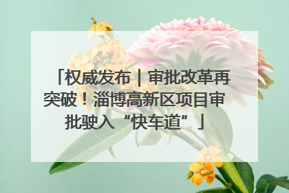 权威发布｜审批改革再突破！淄博高新区项目审批驶入“快车道”