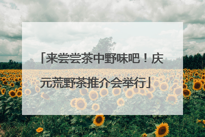 来尝尝茶中野味吧！庆元荒野茶推介会举行