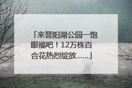 来晋阳湖公园一饱眼福吧！12万株百合花热烈绽放……