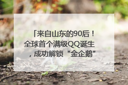 来自山东的90后！全球首个满级QQ诞生，成功解锁“金企鹅”，是继承父亲账号