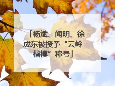 杨斌、闻明、徐成东被授予“云岭楷模”称号