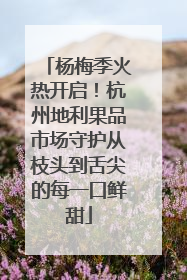 杨梅季火热开启！杭州地利果品市场守护从枝头到舌尖的每一口鲜甜