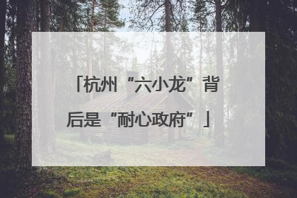 杭州“六小龙”背后是“耐心政府”