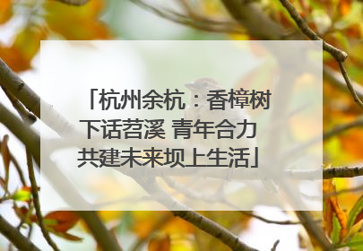 杭州余杭：香樟树下话苕溪 青年合力共建未来坝上生活