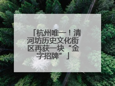 杭州唯一！清河坊历史文化街区再获一块“金字招牌”