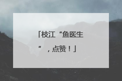 枝江“鱼医生”，点赞！