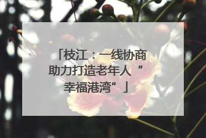 枝江：一线协商助力打造老年人“幸福港湾”