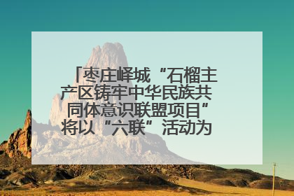 枣庄峄城“石榴主产区铸牢中华民族共同体意识联盟项目”将以“六联”活动为抓手深化品牌建设