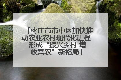 枣庄市市中区加快推动农业农村现代化进程 形成“振兴乡村 增收富农”新格局