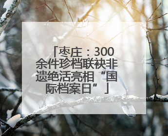 枣庄：300余件珍档联袂非遗绝活亮相“国际档案日”