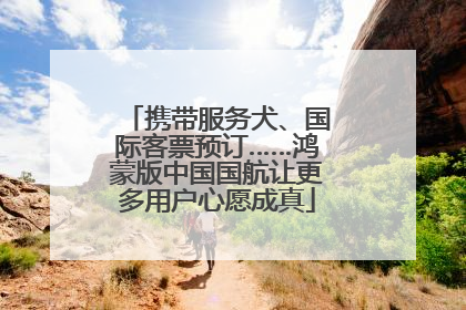携带服务犬、国际客票预订……鸿蒙版中国国航让更多用户心愿成真
