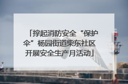 撑起消防安全“保护伞”杨园街道柴东社区开展安全生产月活动