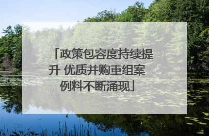 政策包容度持续提升 优质并购重组案例料不断涌现