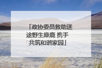 政协委员救助迷途野生麋鹿 携手共筑和谐家园