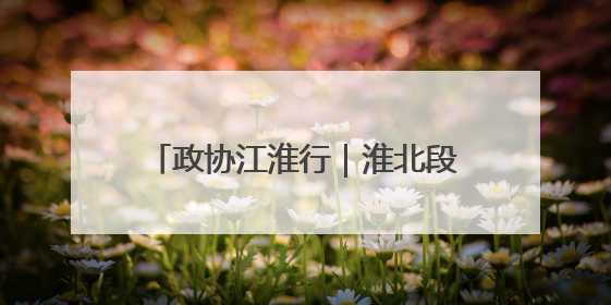 政协江淮行｜淮北段园新型功能区：“飞地经济”拔节生长